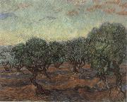 Vincent Van Gogh Olive Orchard,Saint-Remy oil painting picture wholesale